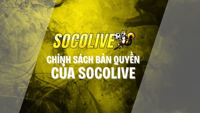 Chính sách bản quyền